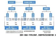 怎样分析股票的股东权益增长