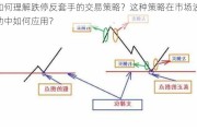 如何理解跌停反套手的交易策略？这种策略在市场波动中如何应用？