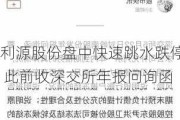 利源股份盘中快速跳水跌停 此前收深交所年报问询函