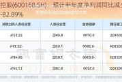 武汉控股(600168.SH)：预计半年度净利润同比减少74.48%-82.89%