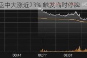 C安乃达盘中大涨近23% 触发临时停牌