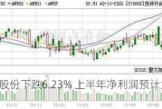 兰生股份下跌6.23% 上半年净利润预计大幅下降