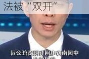 南方电网原党组成员、纪检监察组组长龙飞***违法被“***”