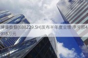 博睿数据(688229.SH)发布半年度业绩 净亏损4918万元