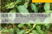 海南茶：黎母山地区为特殊地方品种