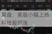 尾盘：美股小幅上扬 科技股领涨