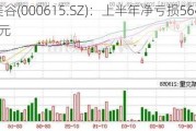 ST美谷(000615.SZ)：上半年净亏损5643.90万元