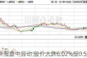 e家快服盘中异动 股价大跌6.02%报0.544美元