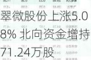 翠微股份上涨5.08% 北向资金增持71.24万股