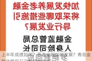 上半年成绩如何？养老金融如何发展？青岛金融监管局召开新闻发布会