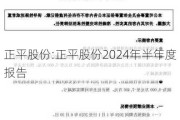 正平股份:正平股份2024年半年度报告