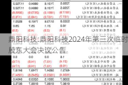 鼎阳科技:鼎阳科技2024年第三次临时股东大会决议公告