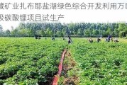 西藏矿业扎布耶盐湖绿色综合开发利用万吨电池级碳酸锂项目试生产