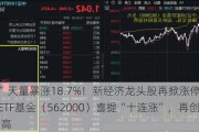 “宁王”天量暴涨18.7%！新经济龙头股再掀涨停潮，中证100ETF基金（562000）喜提“十连涨”，再创历史新高