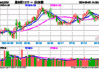 罗科仕上涨5.03%，报1.229美元/股