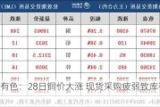 长江有色：28日铜价大涨 现货采购疲弱致库存积压上涨