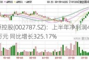 华源控股(002787.SZ)：上半年净利润4211.87万元 同比增长325.17%