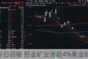 黄金股今日回暖 招金矿业涨超4%紫金矿业涨超3%