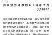 中国石油化工股份将于7月16日派发A股每股现金红利0.2元