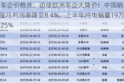 中国车企价格战，迫使欧洲车企大降价！中国销量下滑4%，宝马利润率降至8.4%，上半年纯电销量19万辆飙升25%