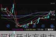 阿根廷北方电力公司盘中异动 股价大涨5.01%报38.11美元