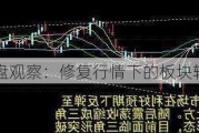 午盘观察：修复行情下的板块轮动