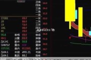 天津普林(002134.SZ)：向激励对象授予398.92万份股票期权