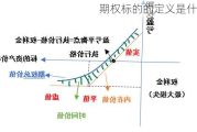 期权标的的定义是什么？