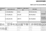 营收增长，但净利润大幅下降？中洲控股(000042.SZ)收问询函