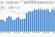 神州数码（000034）：股价成功突破年线压力位-后市看多（涨）（06-13）