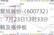 爱旭股份（600732）：7月23日13时33分触及涨停板