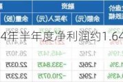 中科环保：2024年半年度净利润约1.64亿元 同比增加17.97%