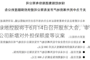 绿地控股将于6月14日召开股东大会，审议公司新增对外担保额度等议案