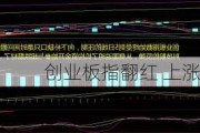 创业板指翻红 上涨个股近2500只