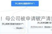 恒大集团突发！母公司被申请破产清算