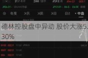 德林控股盘中异动 股价大涨5.30%