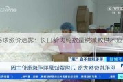 羽毛球涨价迷雾：长日龄肉鸭数量锐减致供不应“球”