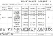 16亿资金“被锁” 东方集团遭立案 大股东2300多万股被强制平仓