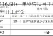 天奈科技(688116.SH)：单壁管项目正按***稳步推进中 预计今年开工建设