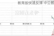 教育股快速反弹 中公教育涨停