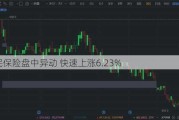 公民保险盘中异动 快速上涨6.23%