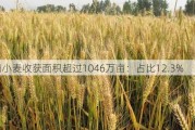 河南小麦收获面积超过1046万亩：占比12.3%