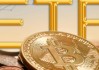 贝莱德：推出比特币 ETF 产品，投资者蜂拥