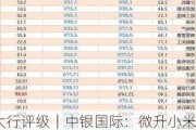 大行评级｜中银国际：微升小米目标价至25.72港元 上调电动车销售及盈利预测