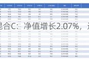 东方人工智能混合C：净值增长2.07%，近6个月收益率-21.17%