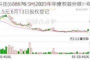 金盘科技(688676.SH)2023年年度权益分派：每10股派4.5元 6月13日股权登记