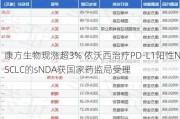 康方生物现涨超3% 依沃西治疗PD-L1阳性NSCLC的sNDA获国家药监局受理