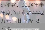 远望谷：2024年半年度净利润约4442万元 同比下降18.72%