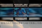 中广核电力向不特定对象发行A股可转换公司债券获批复