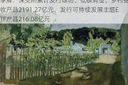 李辉：深交所累计发行绿色、低碳转型、乡村振兴固收产品2191.27亿元，发行可持续发展主题ETF产品216.08亿元